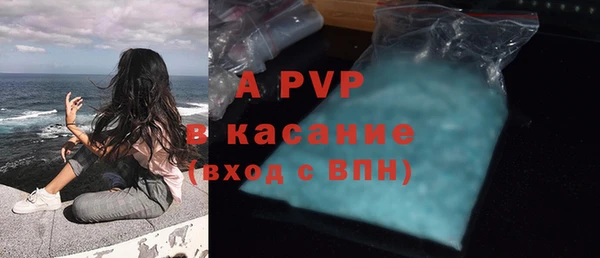 сатива Аркадак