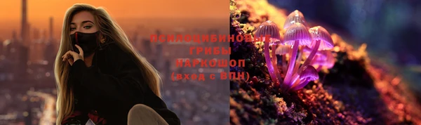 сатива Аркадак