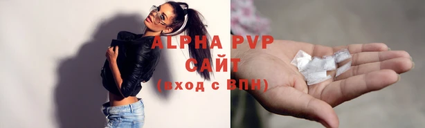 сатива Аркадак